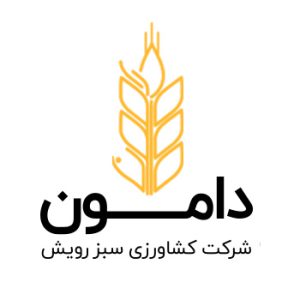 دامون
