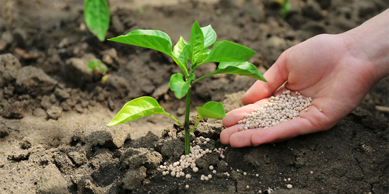 راهنمای انتخاب کود مناسب بر اساس آزمایش خاک