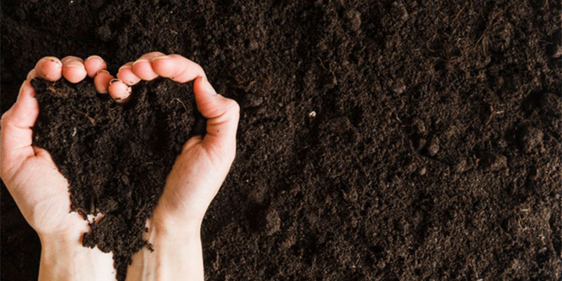 چرا کوددهی در عملکرد مزرعه تاثیر ندارد؟