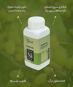 ویدئو معرفی کود سیلیکات پتاسیم 25 (Silicon) ژیگاس