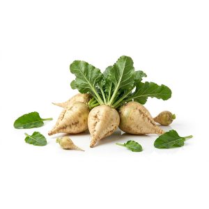 برنامه کوددهی چغندرقند