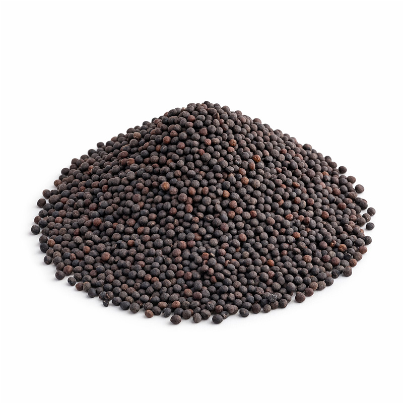 کلزا