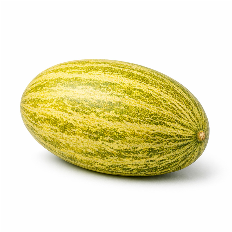 خربزه مشهدی