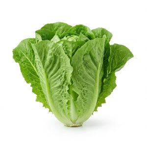برنامه کوددهی کاهو