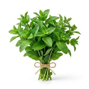 برنامه کوددهی نعناع