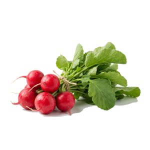 برنامه کوددهی تربچه