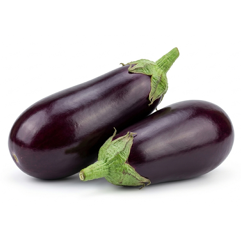 Solanum melongena
