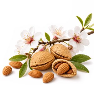 برنامه کوددهی بادام