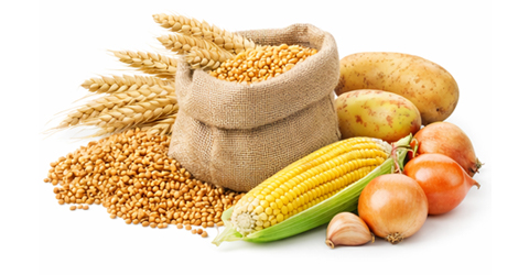 field-crops