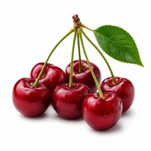 برنامه کوددهی گیلاس