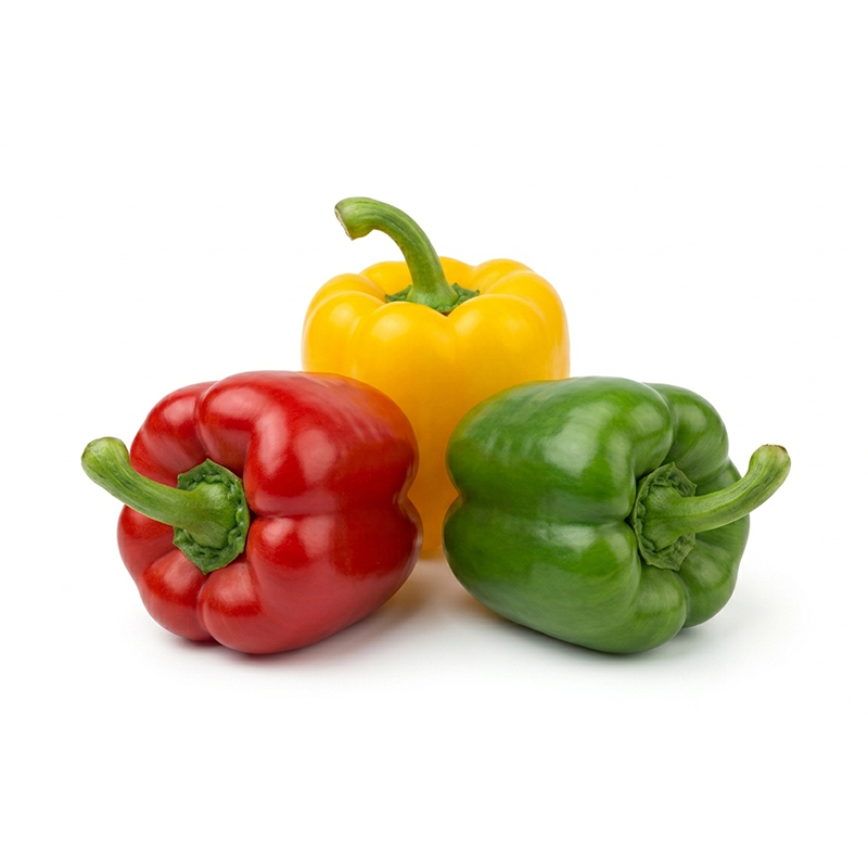 Capsicum annuum