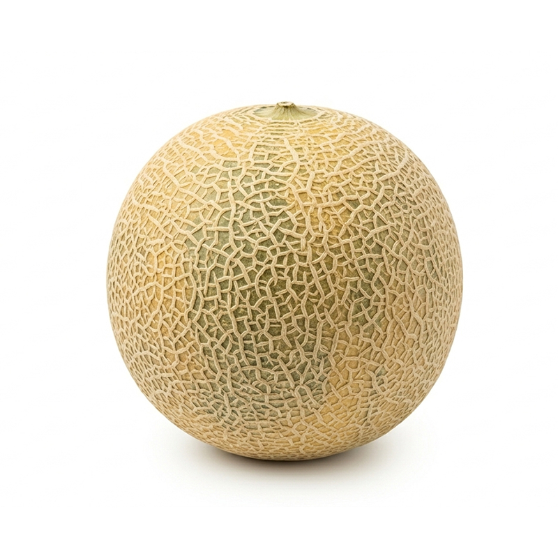 Citrullus lanatus