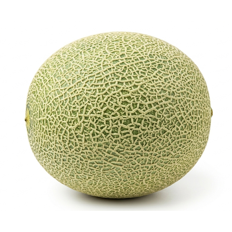 Cucumis melo (2)