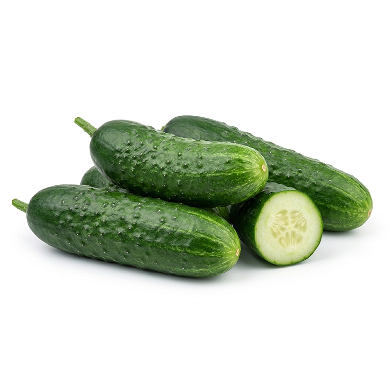 Cucumis sativus
