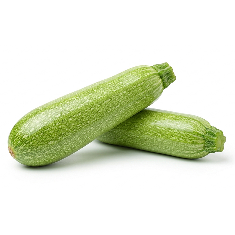 Cucurbita pepo