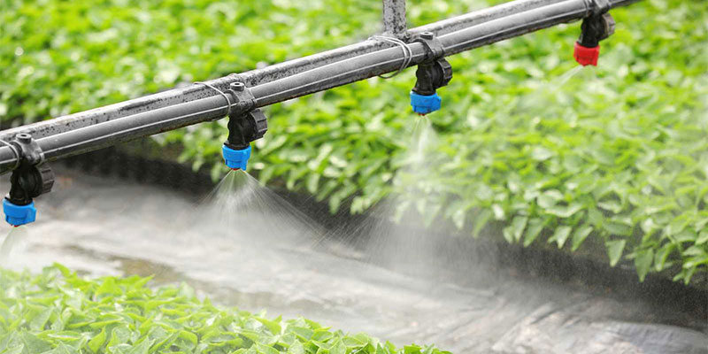 اصول، مزایا و اشتباهات رایج کوددهی آبیاری (فرتیگیشن)