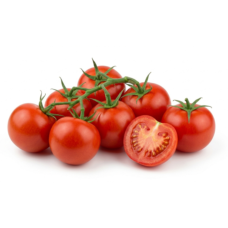 Solanum lycopersicum