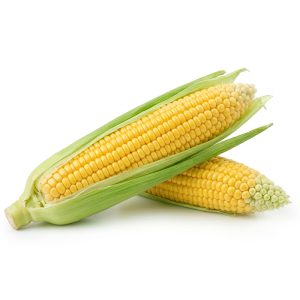 برنامه کوددهی ذرت