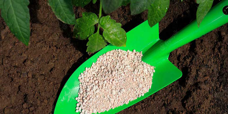 مقایسه کامل کودهای آلی و کودهای شیمیایی