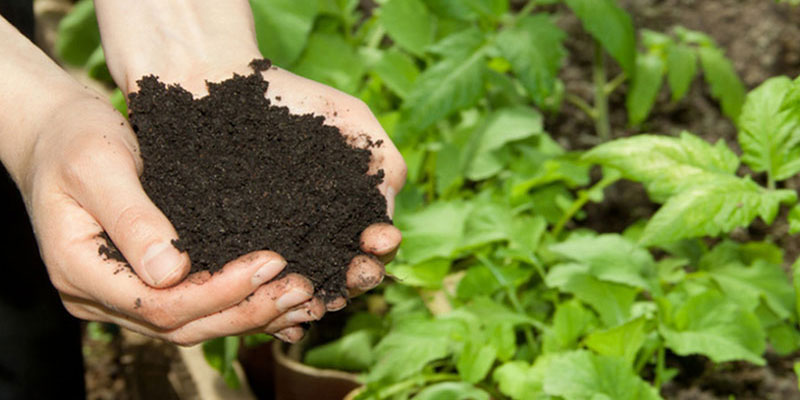 مقایسه کامل کودهای آلی و کودهای شیمیایی