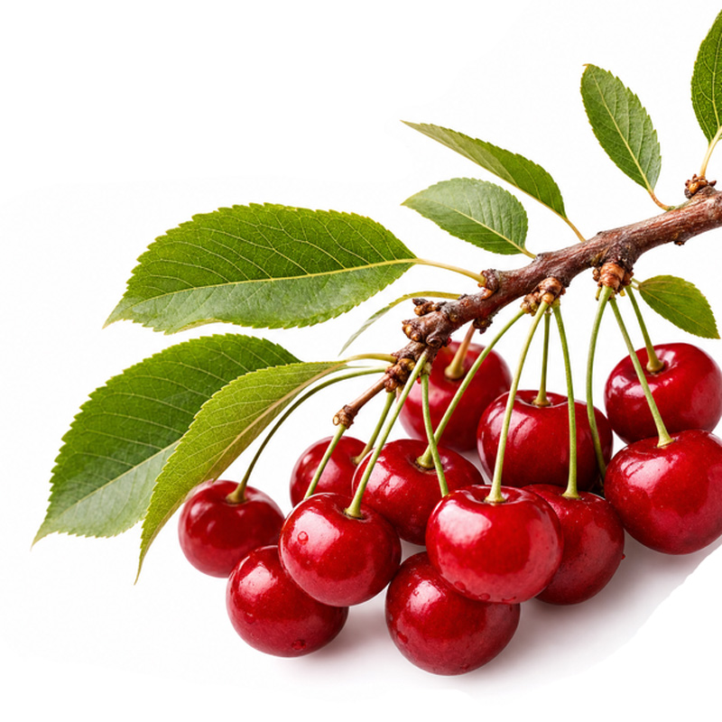 fertilization_cherry ekadmall