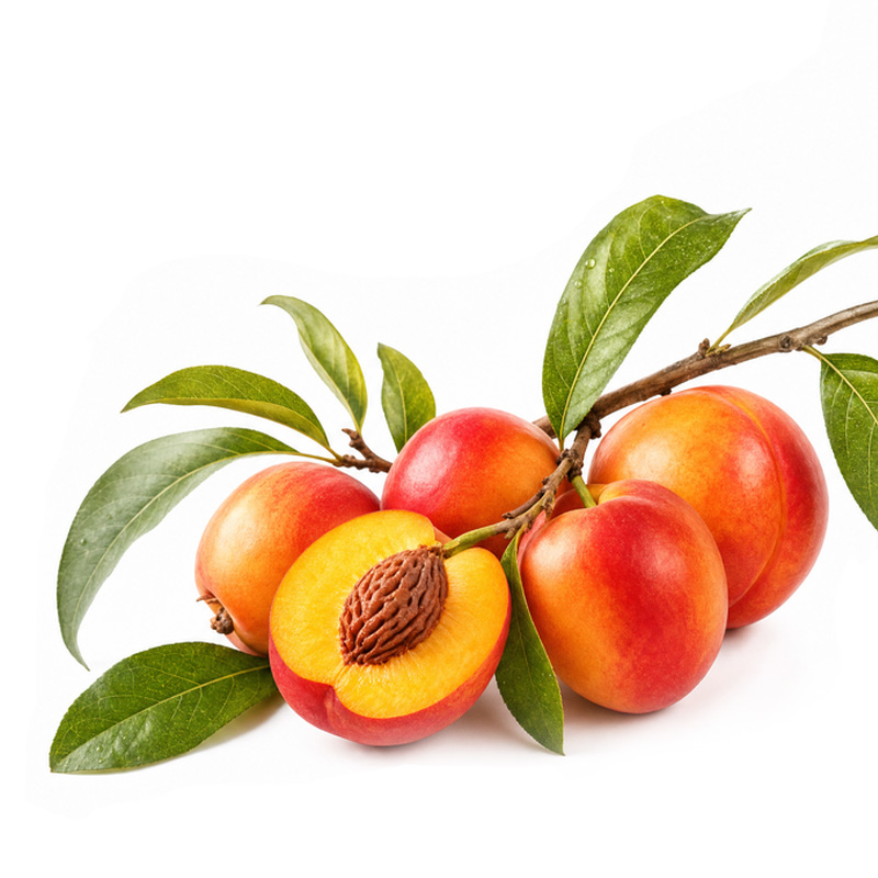 fertilization_nectarine ekadmall