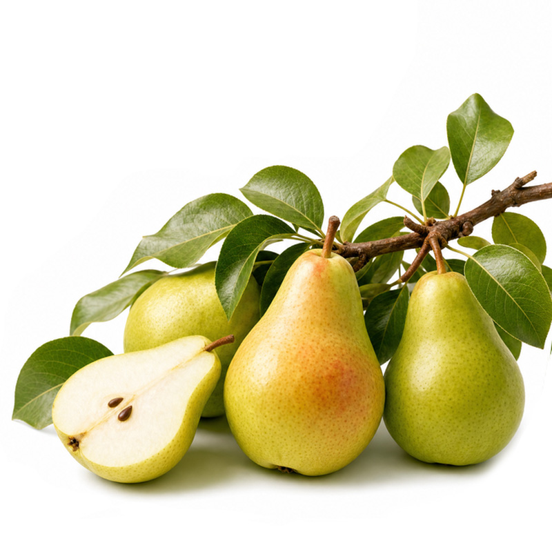 fertilization_pear ekadmall