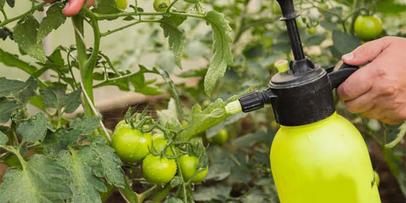 تفاوت صابون محلول‌ پاشی یونی و غیر یونی