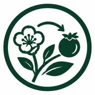 fruit_set_fertilizer