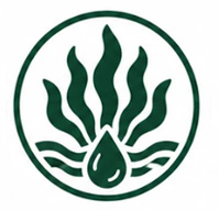 seaweed-fertilizer